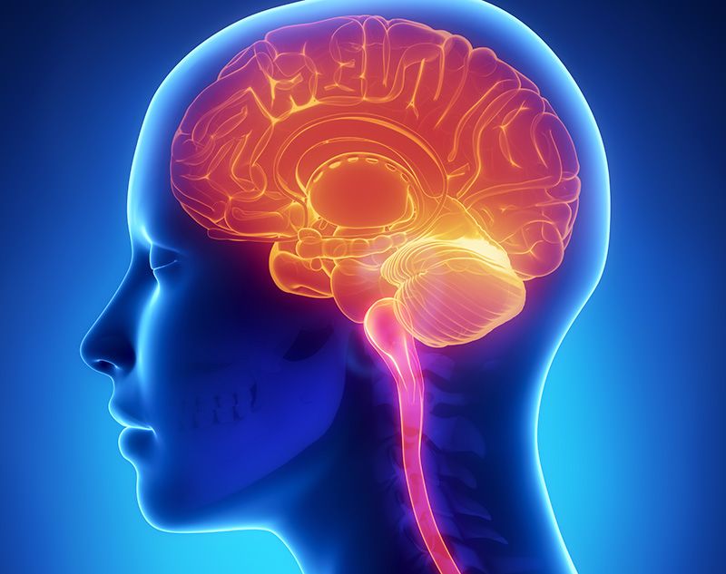 ”Vanesystem” i hjernen overaktivt ved tvangslidelser / 2015 / Helsemagasinet vitenskap og fornuft
