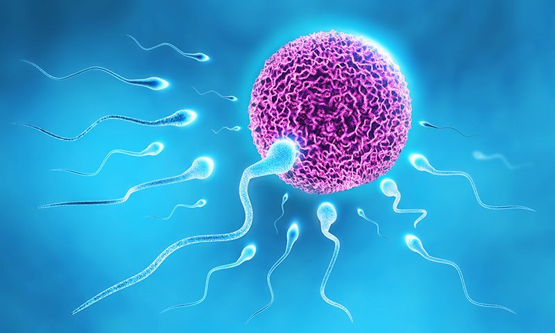 Mobilstråling og spermiekvalitet / 2017 / Helsemagasinet vitenskap og fornuft