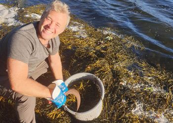 Svein Vindenes høster i sjøhagen. – Med hjelp fra Havforskningsinstituttet i Bergen vet vi at tangen er trygg å spise.