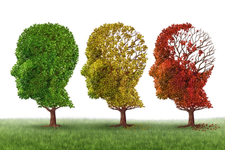 Alzheimers sykdom – mer enn plakk i hjernen / Alzheimers sykdom / Helsemagasinet vitenskap og fornuft