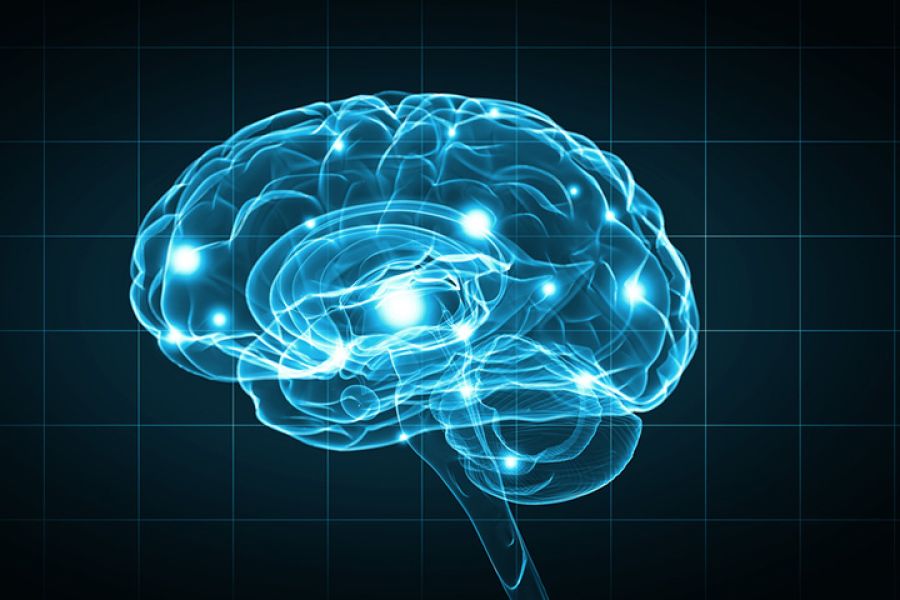 Multitasking endrer hjernen / hjerne / Helsemagasinet vitenskap og fornuft
