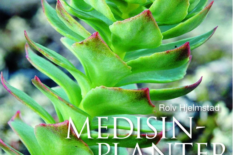Se heller mot naturen: urter mot smerter! / urter / Helsemagasinet vitenskap og fornuft