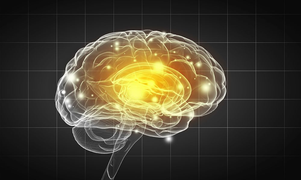 Smarte folk har færre hjernekoblinger / 2018 / Helsemagasinet vitenskap og fornuft