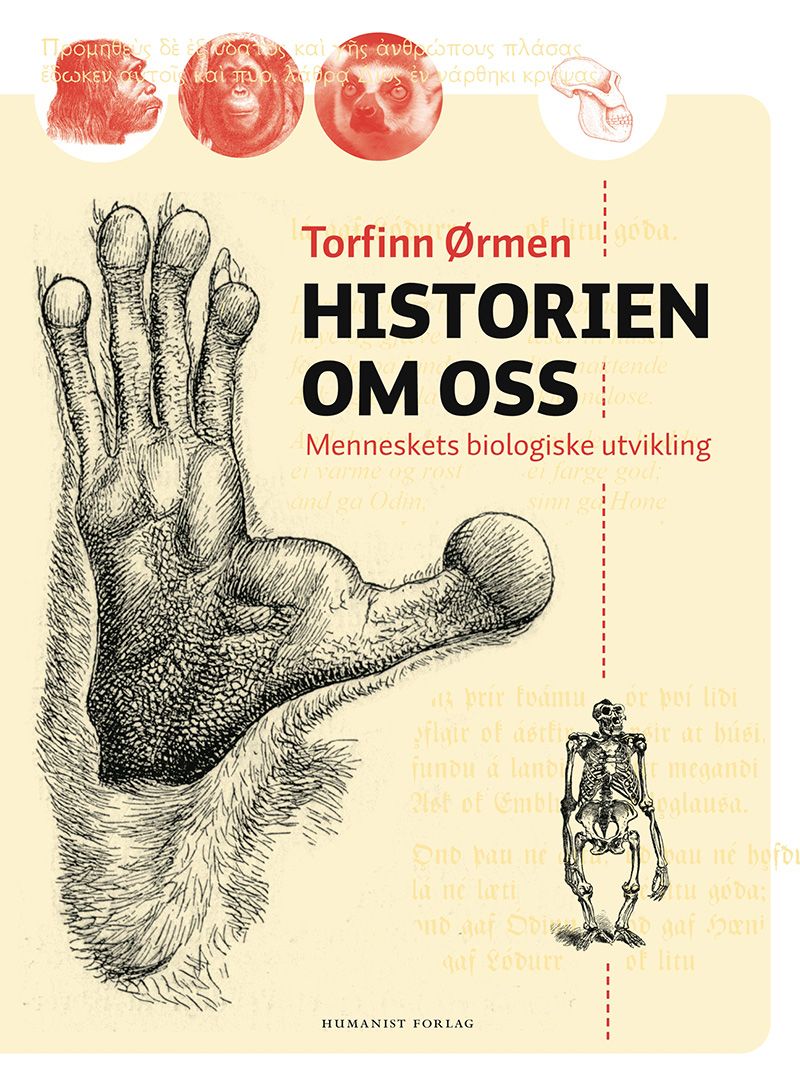 Møt primater og fossile fortidsmennesker / 2010 / Helsemagasinet vitenskap og fornuft