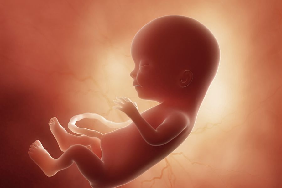 Fødsler i evolusjonært perspektiv / Mor og barn / Helsemagasinet vitenskap og fornuft