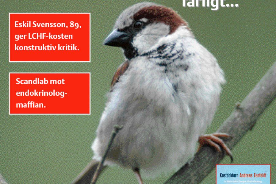 Leserbrev nr. 1 2012 / 2012 / Helsemagasinet vitenskap og fornuft