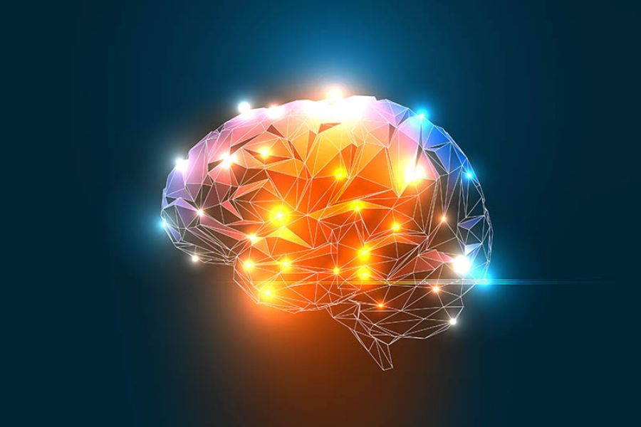 Hjernen kan romme hele internettet / Arkiv / Helsemagasinet vitenskap og fornuft